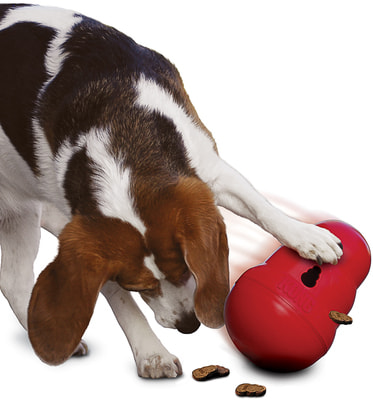 Kong Wobbler -     (,  3)