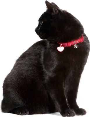 Hunter    Glossy Dots  (,  1)