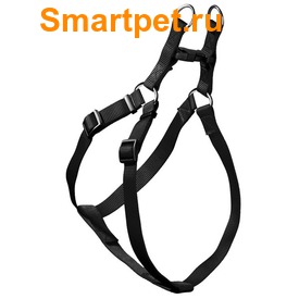 Hunter Smart        (,  1)