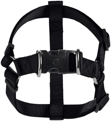 Hunter Smart        (,  2)