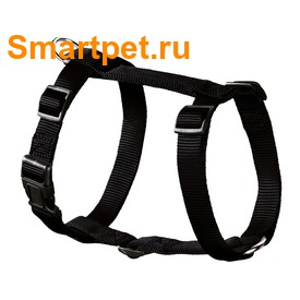 Hunter Smart    Ecco Sport   (,  1)