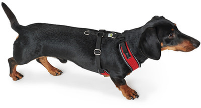 Hunter Шлейка для собак Manoa XS (35-41 см) нейлон/сетчатый текстиль (фото, вид 2)