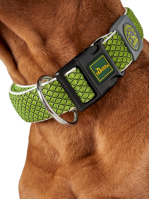 Hunter    Hilo Vario Basic,  ,  (,  2)