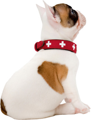 Hunter    Swiss  / (,  3)