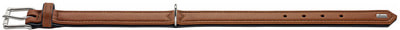 Hunter    Canadian   - (,  1)