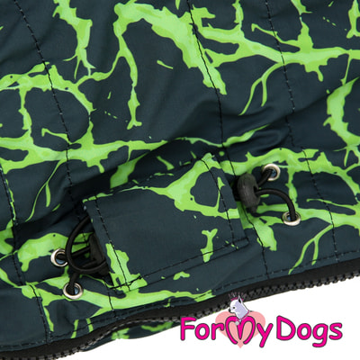 ForMyDogs         (,  4)