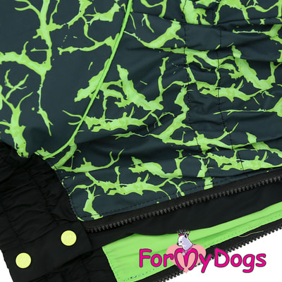 ForMyDogs         (,  5)