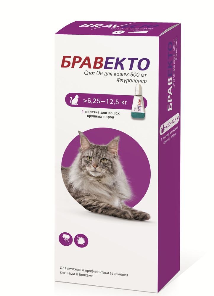 Intervet Бравекто капли спот-он от блох и клещей для кошек - купить от ...
