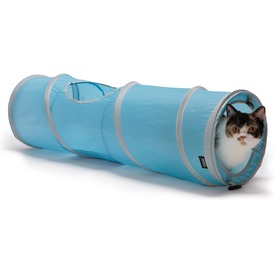 Kitty City -    ()