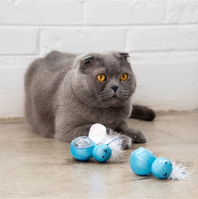 Petstages       ()
