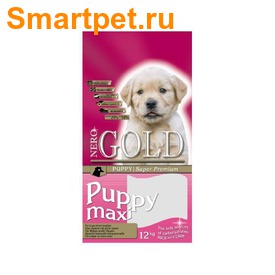 Nero Gold         