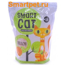 Smart Cat     