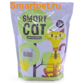Smart Cat     