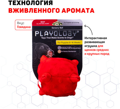Playology ��������� �������� ��� ��� ������ PUPPY SENSORY BALL � �������� ��������, ������� (����)