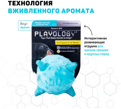 Playology Сенсорный плюшевый мяч для щенков PUPPY SENSORY BALL с ароматом арахиса, голубой Playology Сенсорный плюшевый мяч для щенков PUPPY SENSORY BALL с ароматом арахиса, голубой (фото)