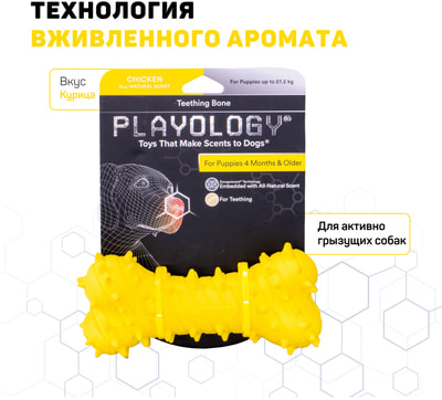 Playology       PUPPY TEETHING BONE    ()