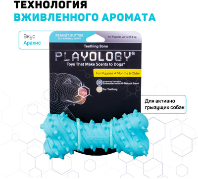 Playology       PUPPY TEETHING BONE    ()