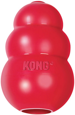 Kong    Classic      ()
