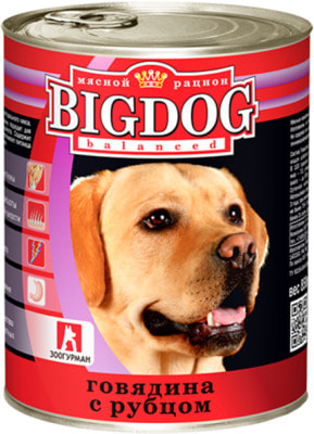      Big Dog   