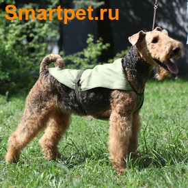 OSSO Fashion    