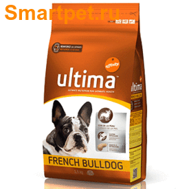 Ultima French Bulldog       
