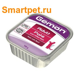 Gemon Cat     