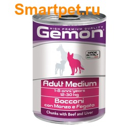 Gemon Dog Medium         