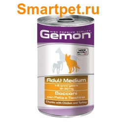 Gemon Dog Medium         