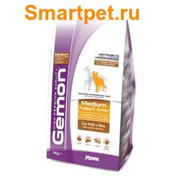 Gemon Dog Medium         