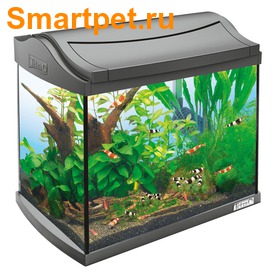 Tetra AquaArt LED Goldfish    LED 