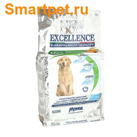 Special Dog Excellence Dog ����� ���� ��� ����� ������� �����