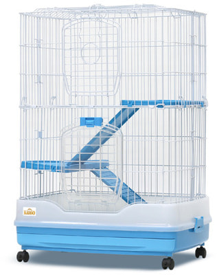 Kredo    ,     , 2- 