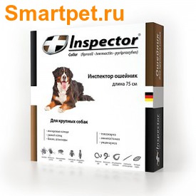 Inspector         