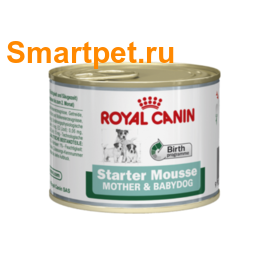 Royal Canin Starter Mousse   