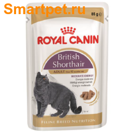 Royal Canin Adult British Shorthair        