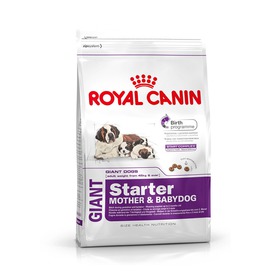 Royal Canin           2 ,    Giant Starter