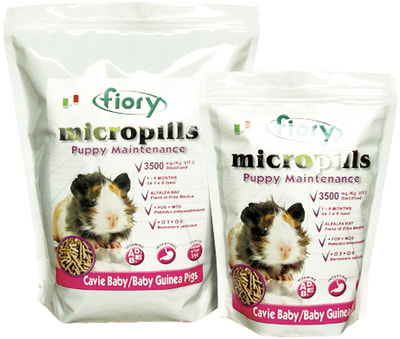 FIORY     1-6  Micropills Baby Guinea Pigs