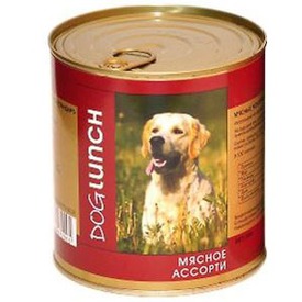 Dog Lunch     