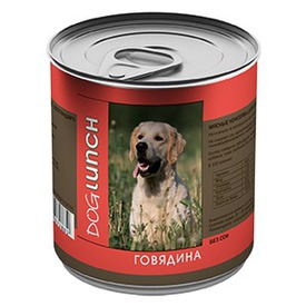 Dog Lunch    