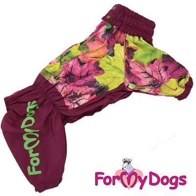 ForMyDogs         ()