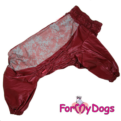 ForMyDogs        ()