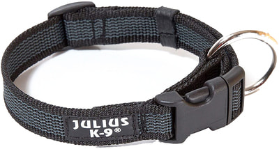 JULIUS-K9    Color & Gray, - ()