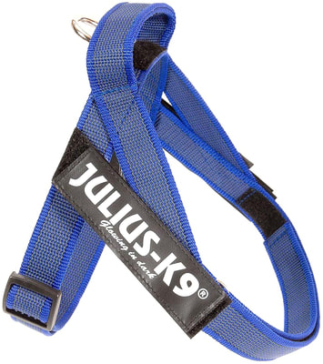 JULIUS-K9     Color & Gray IDC,  ()
