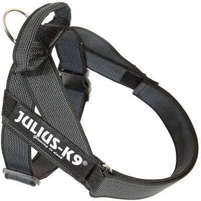 JULIUS-K9     Color & Gray IDC,  ()