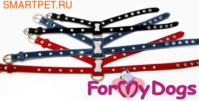 ForMyDogs ������ ��������� ��� ����� ������� (����)