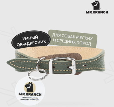 Mr.Kranch        QR-,  ()