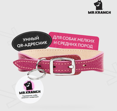 Mr.Kranch        QR-,  ()