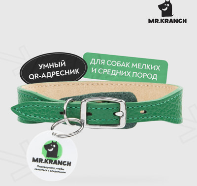 Mr.Kranch        QR-,  ()