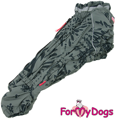 ForMyDogs     , +,  ()