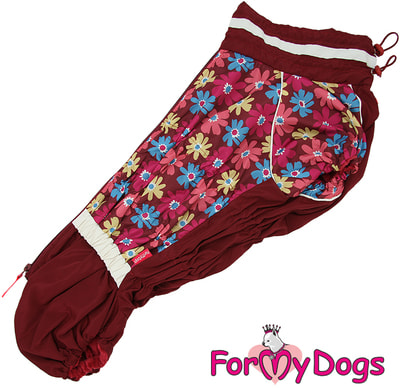 ForMyDogs       ()